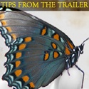 TIPS FROM THE TRAILER : 