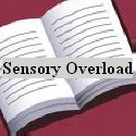 Sensory Over Load : 