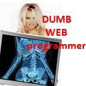 Dumb Web Programmer : I am dumb,  you have a problem with that?