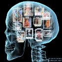 Virtually Here : Social Networking