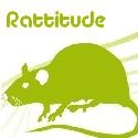 Rattitude : 