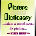  PICTURE DICTIONARY  : U wont leave my site if u enter...BET