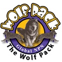 Free Mentor Program/ Wolf Pack Marketing : 