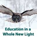 Fantastic Education : Education in a Whole New Light