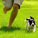 Better Information, Better Health : health,tips,blog,diet
