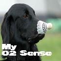 My 02 Sense : It doesn't need to make sense, it just needs to make you laugh