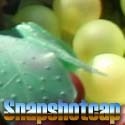 Snapshotcap : Everything, Anything or Nothing