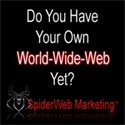 The Golden Goose : Achieving financial freedom thru Passive Biz Income
