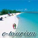e-tourism : 