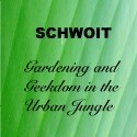 SCHWOIT - Gardening and Geekdom in the Urban Jungle : garden chilli tomato capsicum bunnings, rich gro potting mix urban jungle
