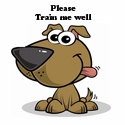 Dog Training Videos : Dog Training this is the best place to start