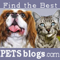 PETSblogs : a blog for pet lovers