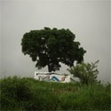 Adam Wisneski's photo blog  : 