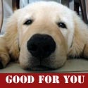 Good For You : Trust what your body is telling you