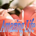 Amazing Life : 