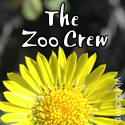 The Zoo Crew : My life is VERY full!