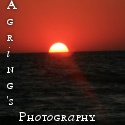 Agring's Simply Digital : digital, photography, personal, interest, shopping