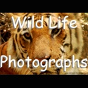 Friendly Animals : Photography of the Wildways
