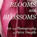 Blooms and Blossoms : Photography by Petra Voegtle