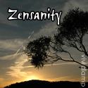 Zensanity : A place to meditate on the written word