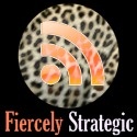 Fiercely Strategic Marketing : "The Ebook Professional"