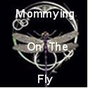 Mommying On The Fly : Mommying On The Fly