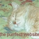 The Purrfect Website : because cats need to blog, too!