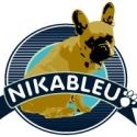 Nika Bleu Marketing : Marketing Solutions that are "Out of the Bleu!"