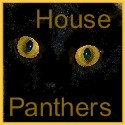House Panthers : Black Cats Invade The Blogosphere