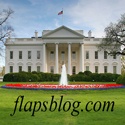 FullosseousFlap's Dental Blog : Comments on Politics and the Dental World