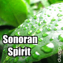 Sonoran Spirit : Breathe. Restore. Balance. Prosper