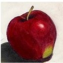 drAnn's Art : Janet Jenson 2008