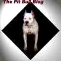 The Pit Bull Blog : Perfect health care for pit bulls