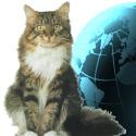 Cats with Thumbs : Satire, Writing, Blog, News, Humor, Cats