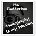 The Shutterbug : Photography Is My Passion