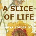 A Slice of Life : Where everyday is a challenge