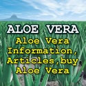 Aloe Vera : Aloe Vera, Aleo Vera Information and Articles