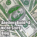 Another Build A Niche Store Blog : Build a niche store tips! Money making tips! Affiliate's tips!