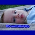 We and Mini-We : 