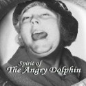 Angry Dolphin : I'm a pirate...seriously 
