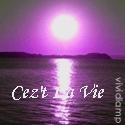 Cez't La Vie : Cez't La vie (That's Life!)