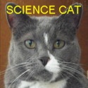 GumbyTheCat : Science and critical thinking for the common man.