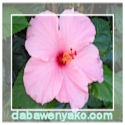 Dabawenyako : Beauty Within