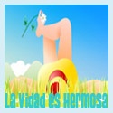 La Vida es Hermosa : I have a lot to say,but I dont know how to start.