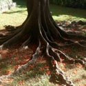 Warmstone : warmth in the coldness of life...