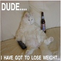 Conquer Weight Loss : 