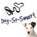 Dog-So-Smart : 