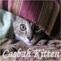 Casbah Kitten : Two cats and their cat toy business.