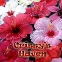 Crissy's Haven : Crissy's Haven