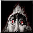Lil' Blog of Horrors : when watching zombies just isn't enough